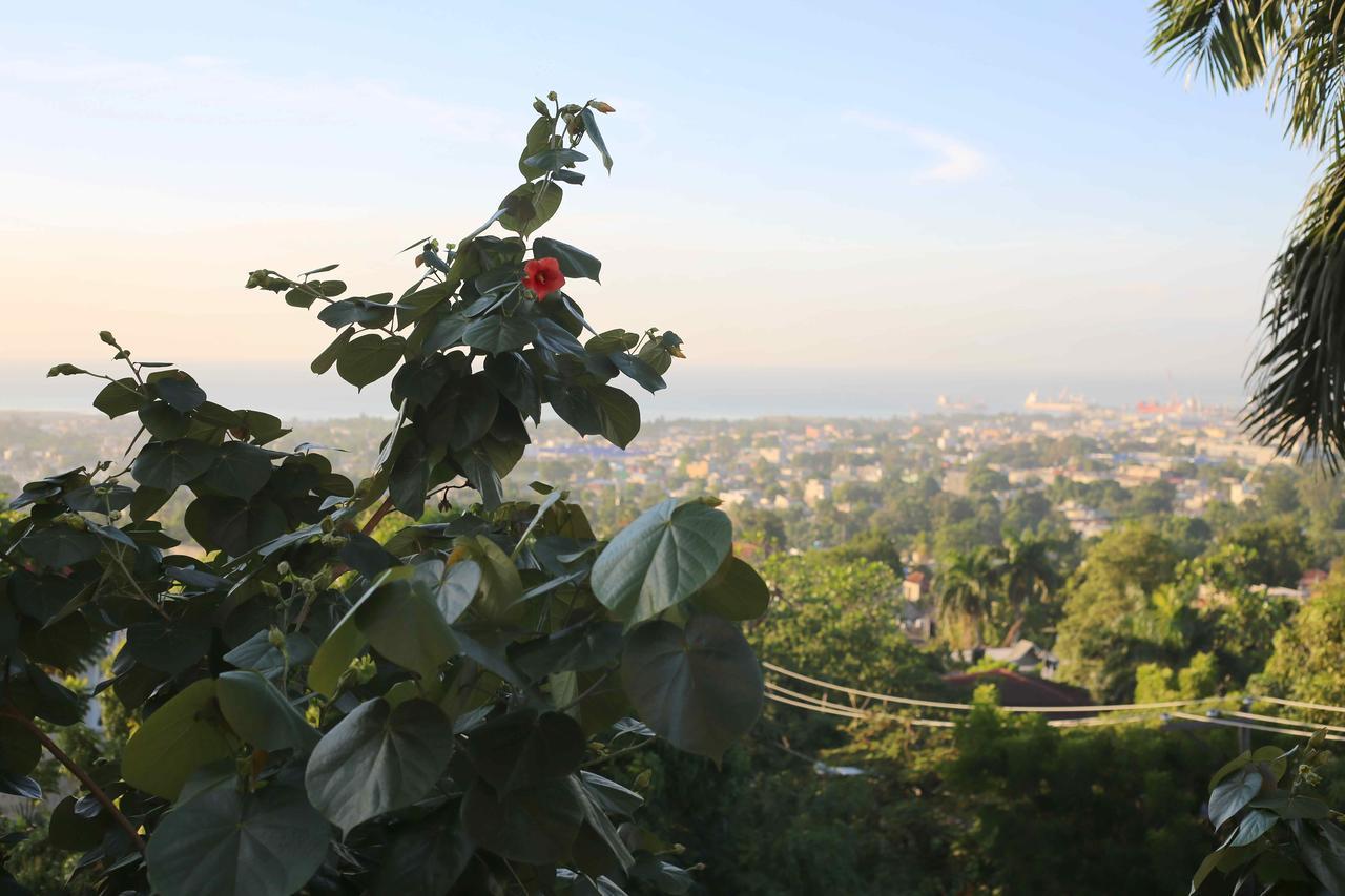 Prince Hotel Port-au-Prince Ngoại thất bức ảnh