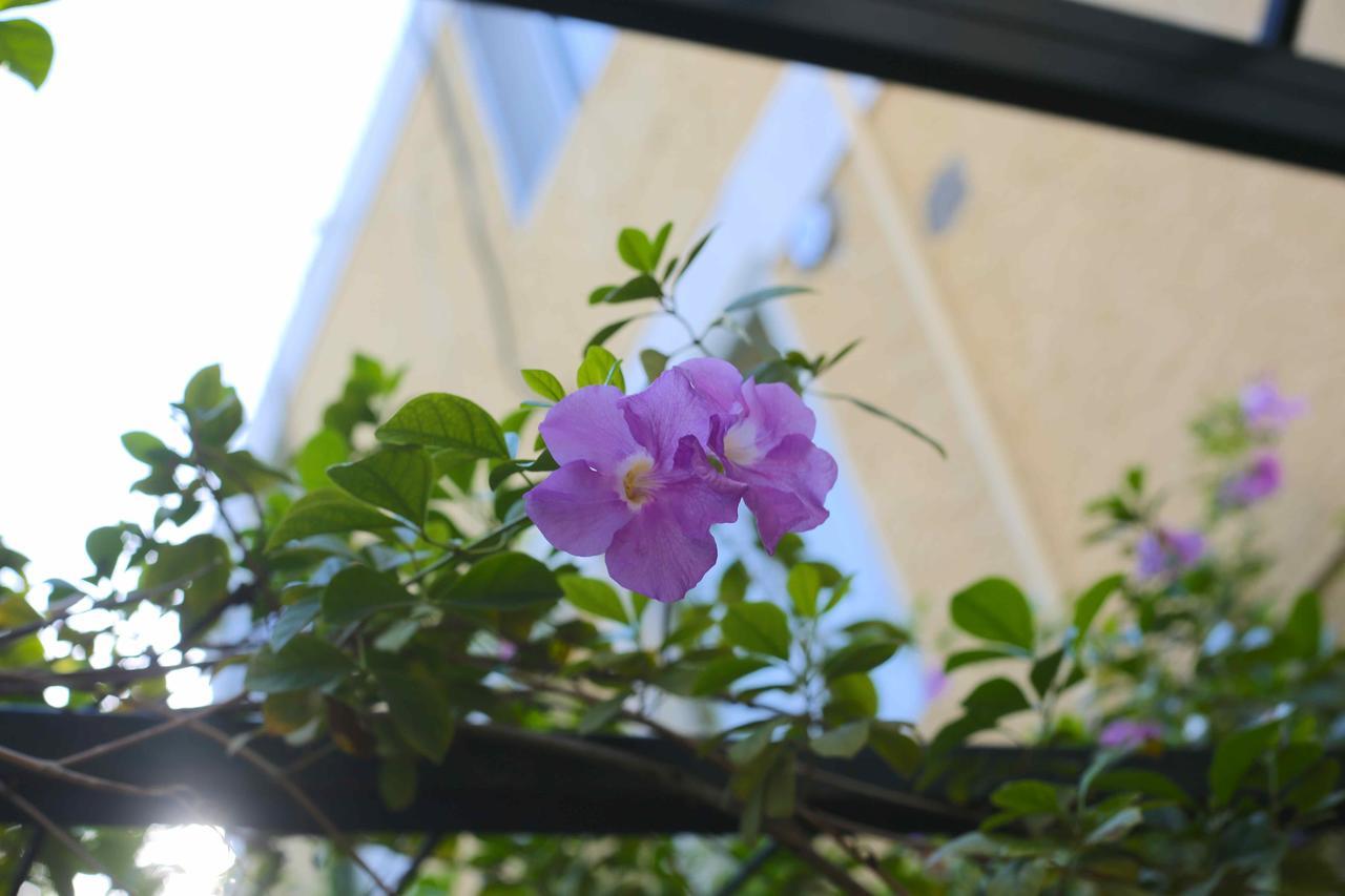 Prince Hotel Port-au-Prince Ngoại thất bức ảnh
