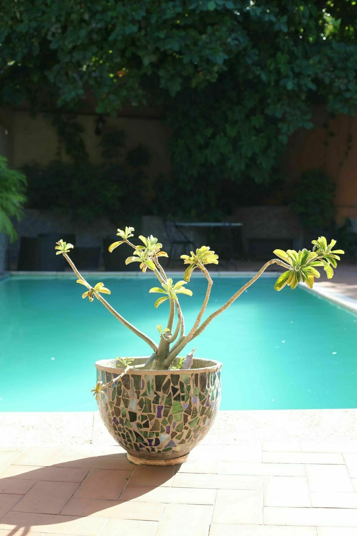 Prince Hotel Port-au-Prince Ngoại thất bức ảnh