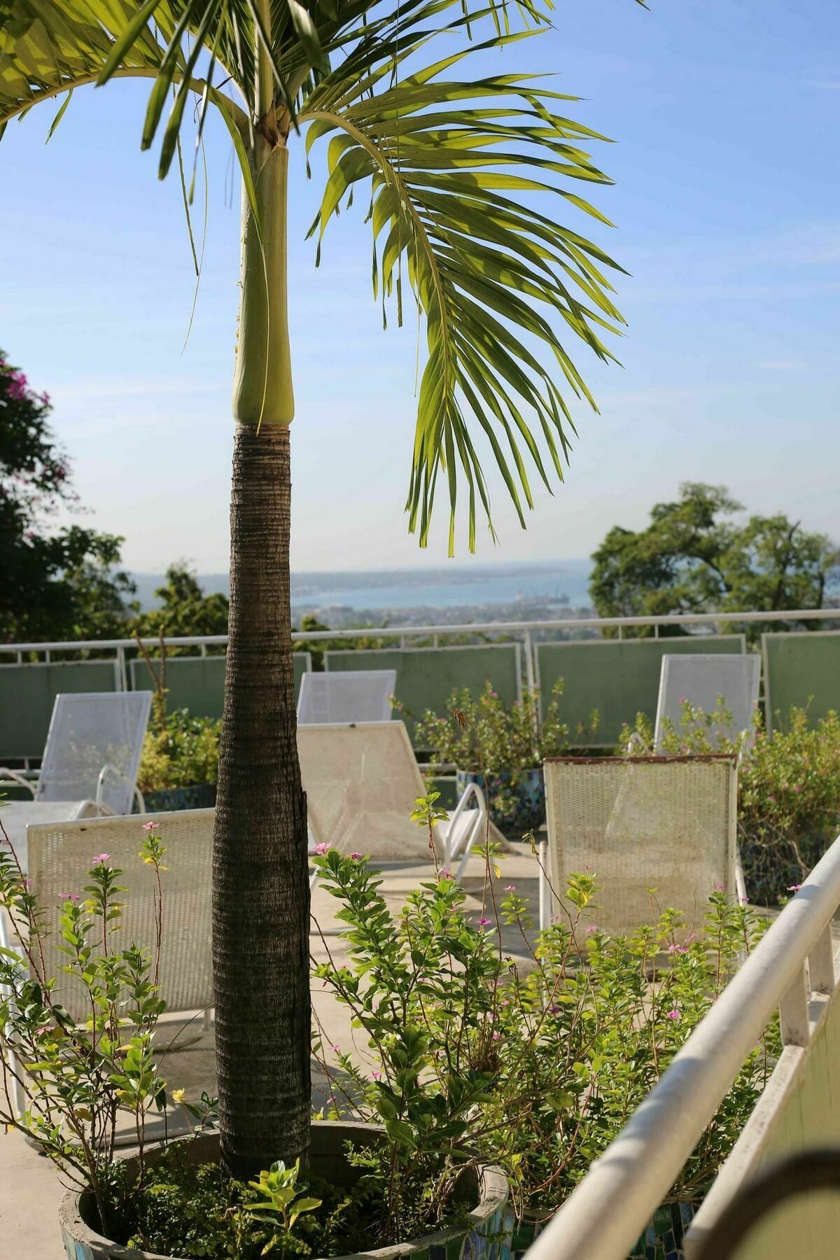 Prince Hotel Port-au-Prince Ngoại thất bức ảnh